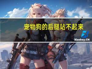 宠物狗的后腿站不起来