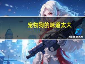 宠物狗的味道太大