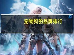 宠物狗的品牌排行
