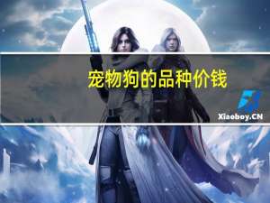 宠物狗的品种价钱