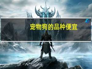 宠物狗的品种便宜
