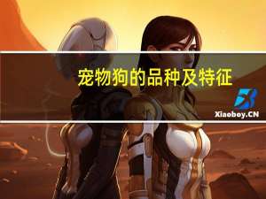 宠物狗的品种及特征