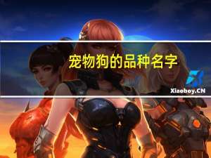宠物狗的品种名字