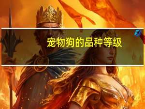 宠物狗的品种等级