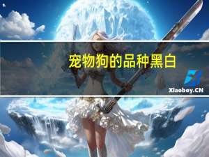 宠物狗的品种黑白