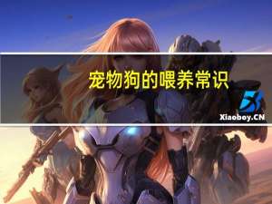 宠物狗的喂养常识