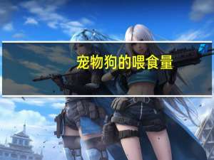 宠物狗的喂食量