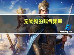 宠物狗的喘气频率