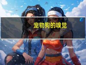 宠物狗的嗅觉
