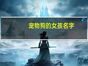 宠物狗的女孩名字