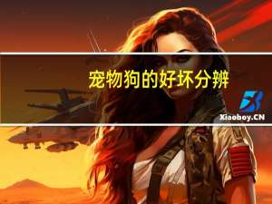 宠物狗的好坏分辨
