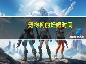宠物狗的妊娠时间