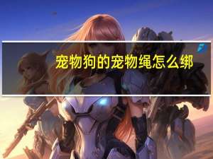 宠物狗的宠物绳怎么绑
