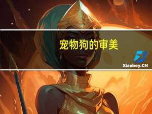 宠物狗的审美