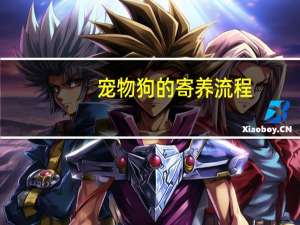宠物狗的寄养流程