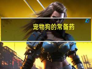 宠物狗的常备药