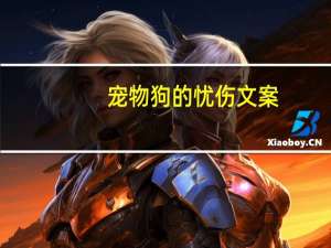 宠物狗的忧伤文案