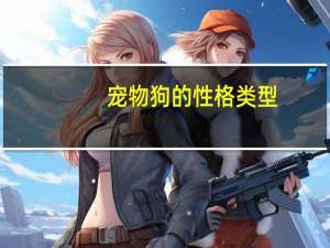 宠物狗的性格类型