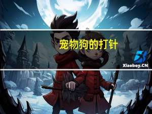 宠物狗的打针