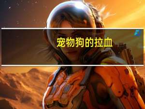 宠物狗的拉血