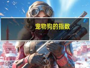 宠物狗的指数