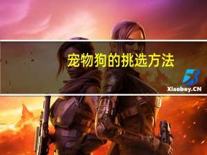 宠物狗的挑选方法