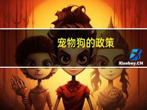宠物狗的政策