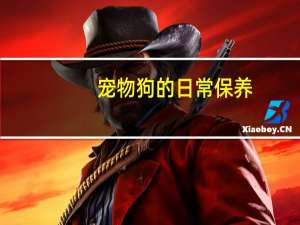 宠物狗的日常保养