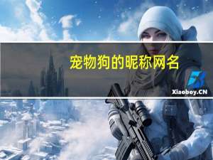 宠物狗的昵称网名