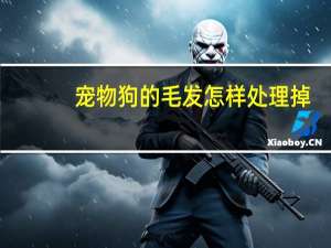 宠物狗的毛发怎样处理掉