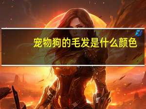 宠物狗的毛发是什么颜色