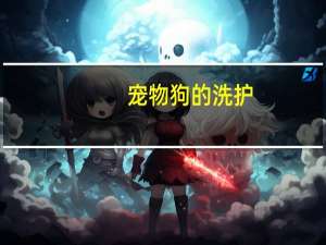 宠物狗的洗护