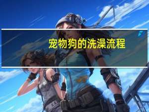 宠物狗的洗澡流程