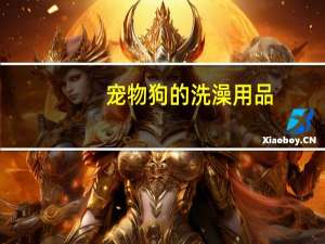 宠物狗的洗澡用品