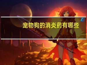 宠物狗的消炎药有哪些