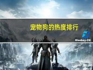 宠物狗的热度排行
