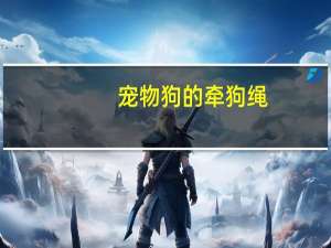宠物狗的牵狗绳