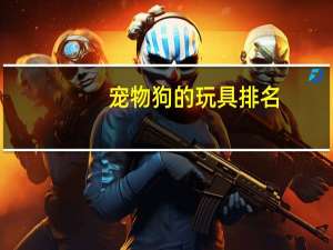 宠物狗的玩具排名