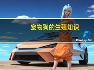 宠物狗的生殖知识