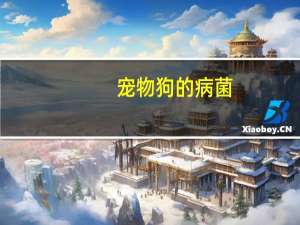 宠物狗的病菌