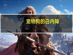 宠物狗的白内障