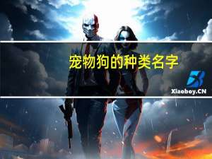宠物狗的种类名字