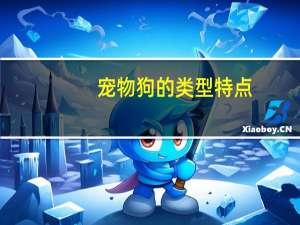 宠物狗的类型特点