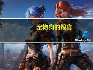 宠物狗的粮食