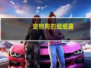 宠物狗的细细菌