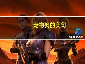 宠物狗的美句