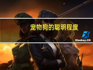 宠物狗的聪明程度