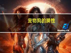 宠物狗的脾性