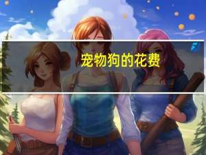 宠物狗的花费