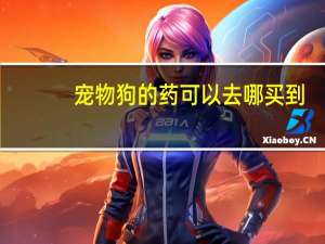 宠物狗的药可以去哪买到